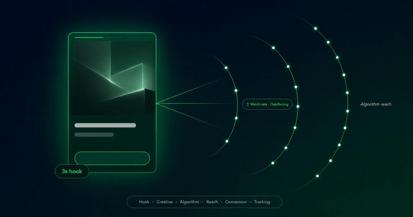 View TikTok Advertising Service