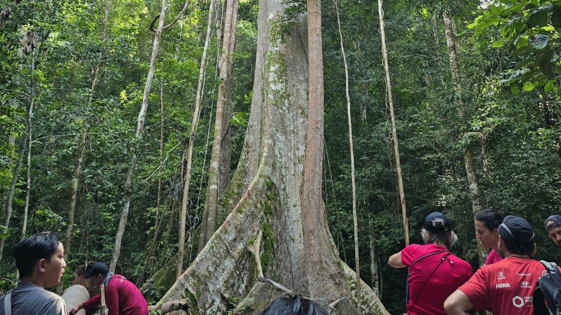 Participants exploring the natural surroundings of Taman Negara while identifying suitable subjects and perspectives for tourism content creation.